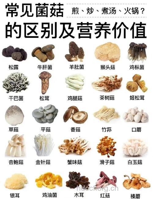 最容易带细菌的6类食物