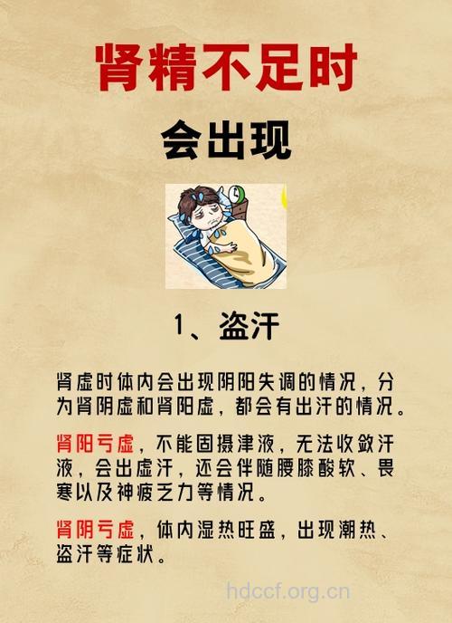 白领为什么会导致肾虚
