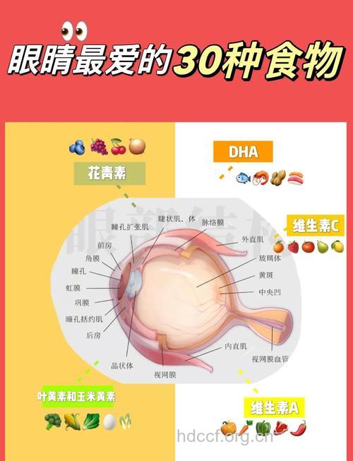 近视要补充什么营养