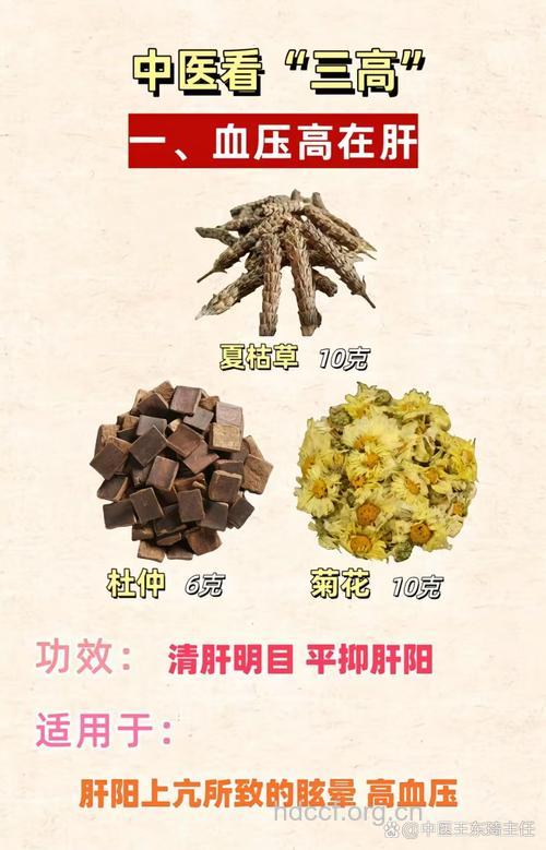 哪些中药能治疗高血压