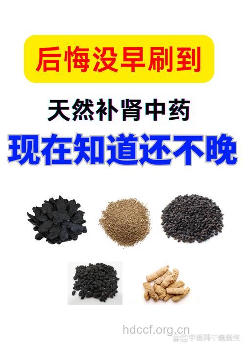 哪些中药具有补肾功效