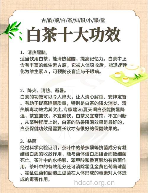 白领族喝这几种茶对身体有好处