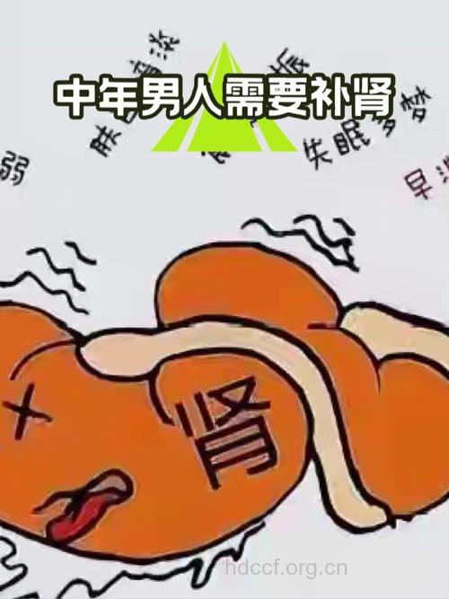 步入中年的男人要补肾吗