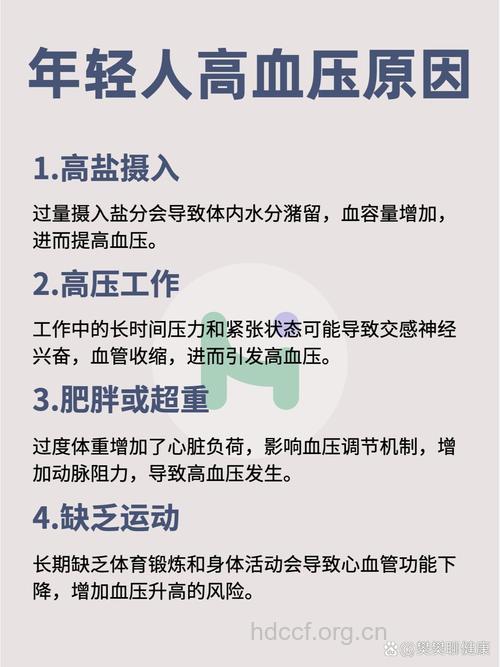青少年患上高血压的原因