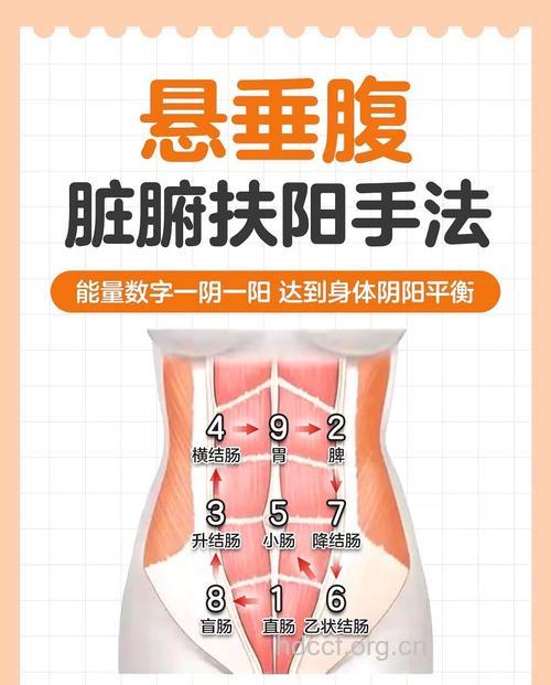 女性怎么应对肾下垂方法