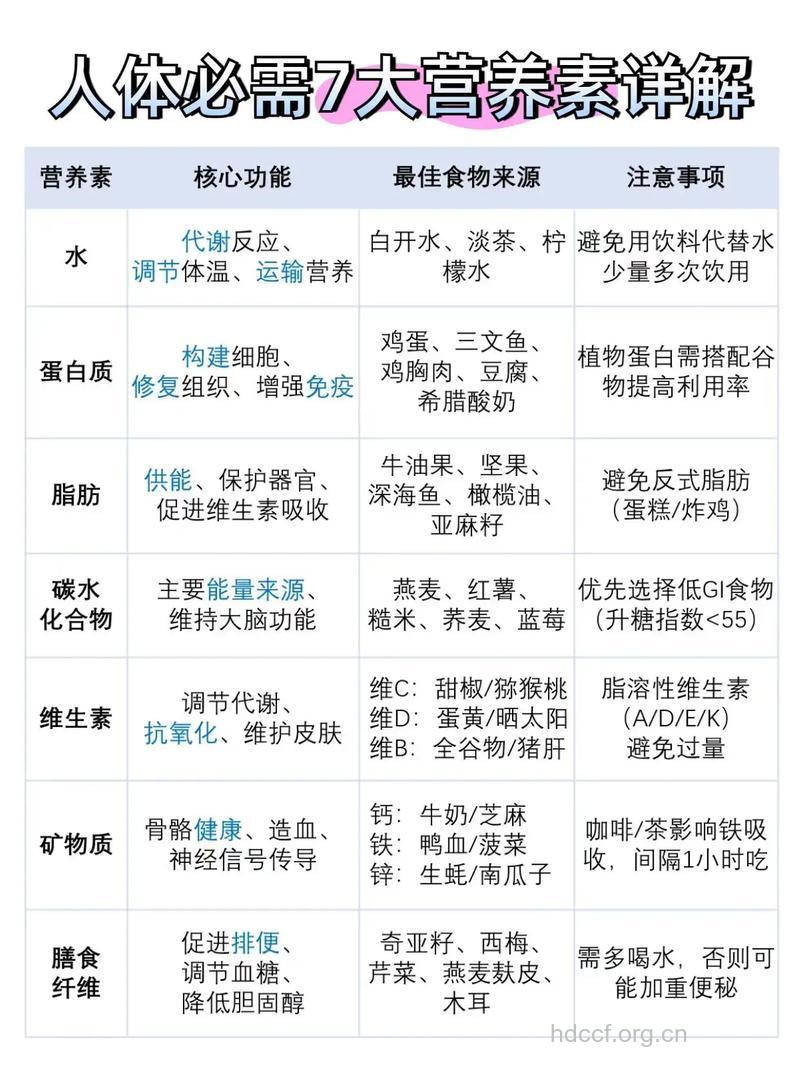 常用电脑要补7种营养