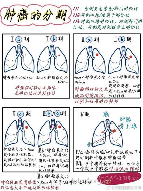 讲解早期肺癌有哪些信号呢