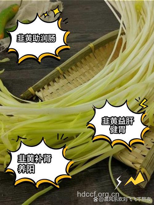 准妈妈可以吃韭黄吗