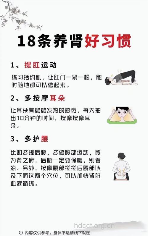 十个招数可帮助养肾护肾