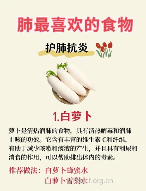  常吃“白色食物”可清肺润肺