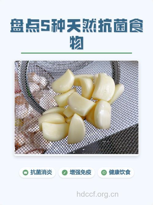 四种食物是天然抗生素