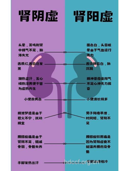 肾虚的病因分析是什么