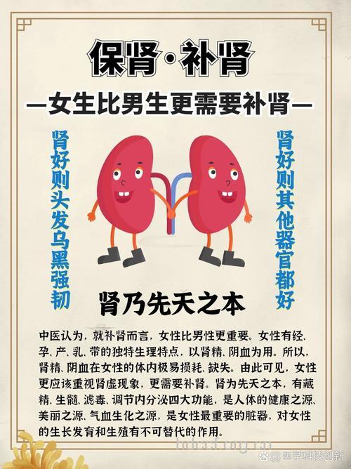 女性提早养肾 确保更年无忧