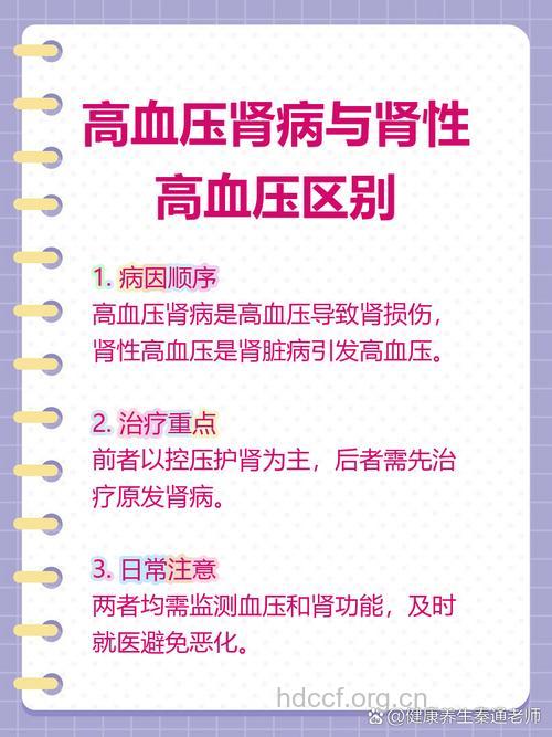 认识高血压肾病的两种类型