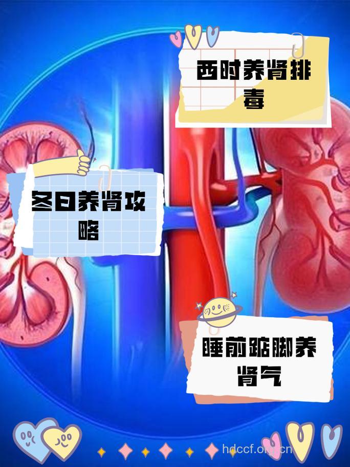 女性什么时候需要补肾？