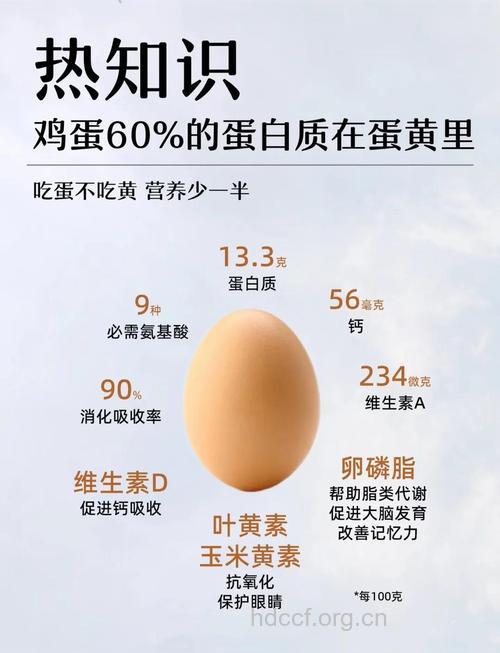 蛋清和蛋黄哪个更有营养