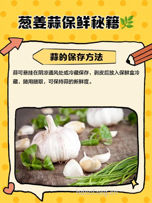 葱姜蒜如何保存 葱姜蒜的最佳储存方法