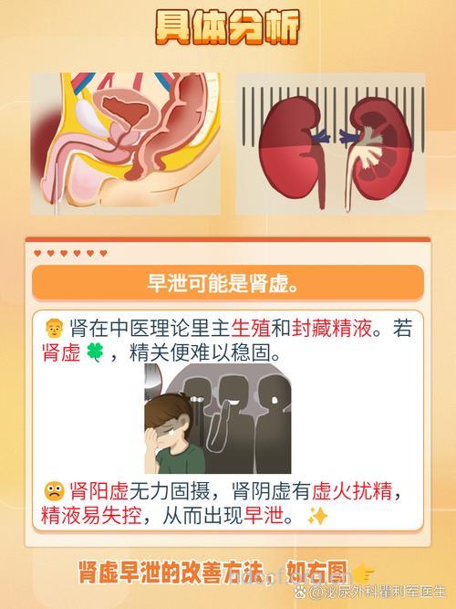 肾虚和早泄的关系