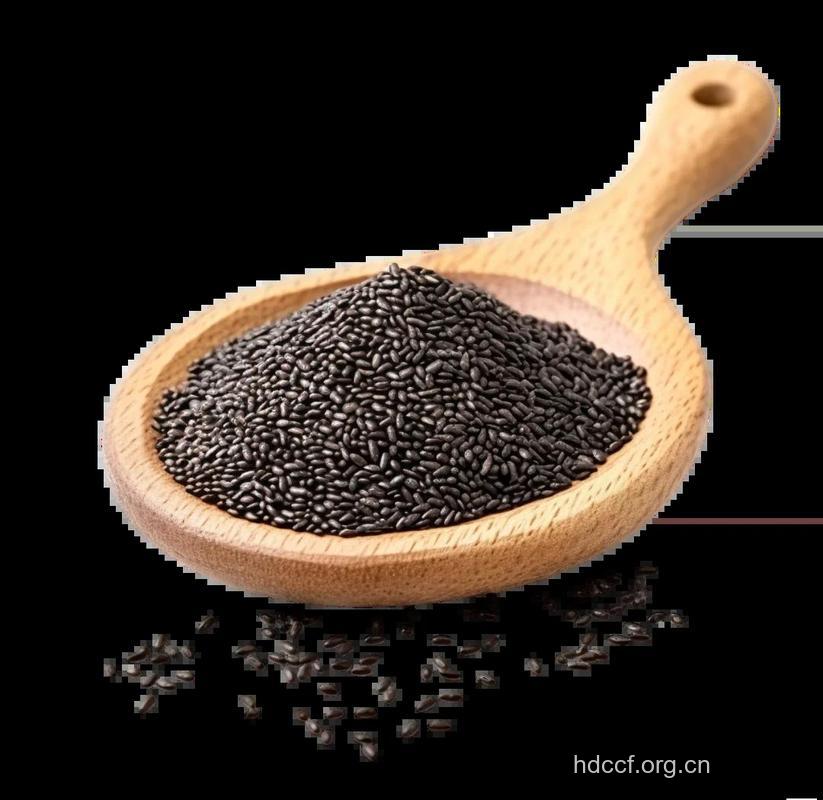 吃什么对皮肤好 五款黑色食物亮肤