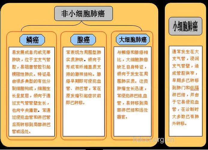 临床上肺肿瘤的症状怎么分型