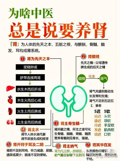 中医对补肾相当讲究