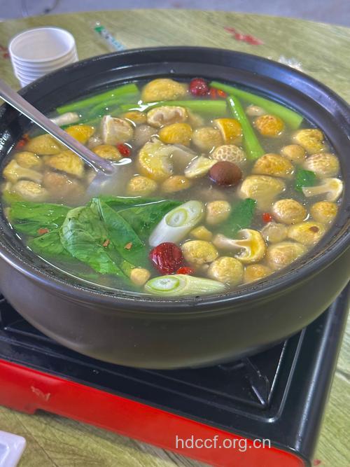 芦笋榆黄蘑炖鸡汤的做法大全