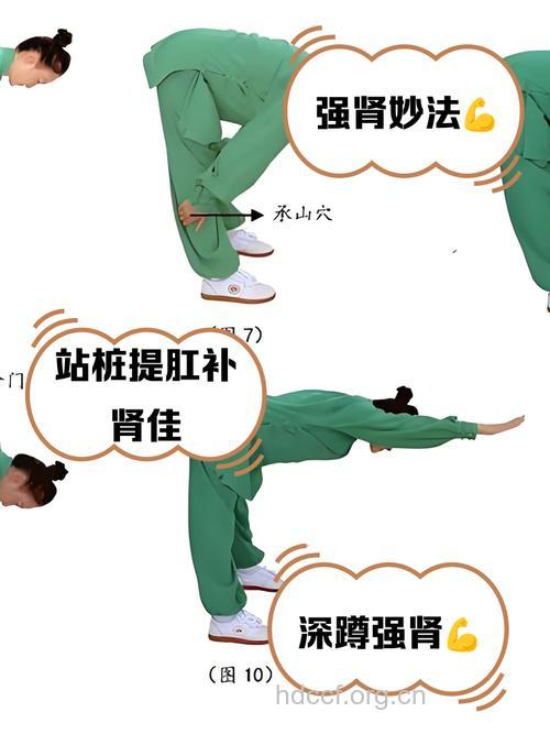 值得一看的女性强肾操