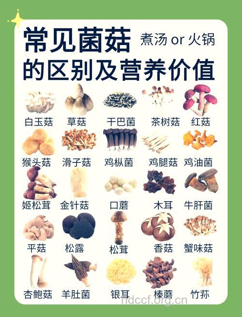 7种常见菇类的营养吃法