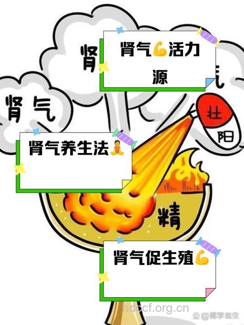 中医详解女人肾气