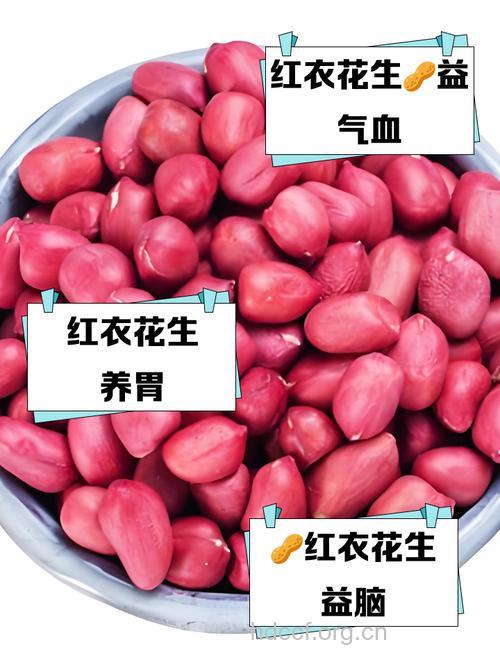 花生红衣有补血凝血功效 血液粘稠者千万别吃