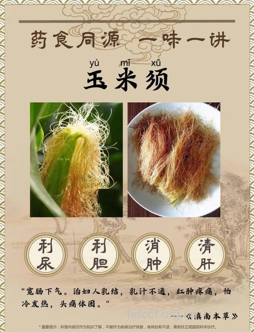 玉米须可以治哪些疾病