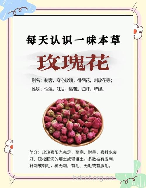 五种最具美容功效的鲜花