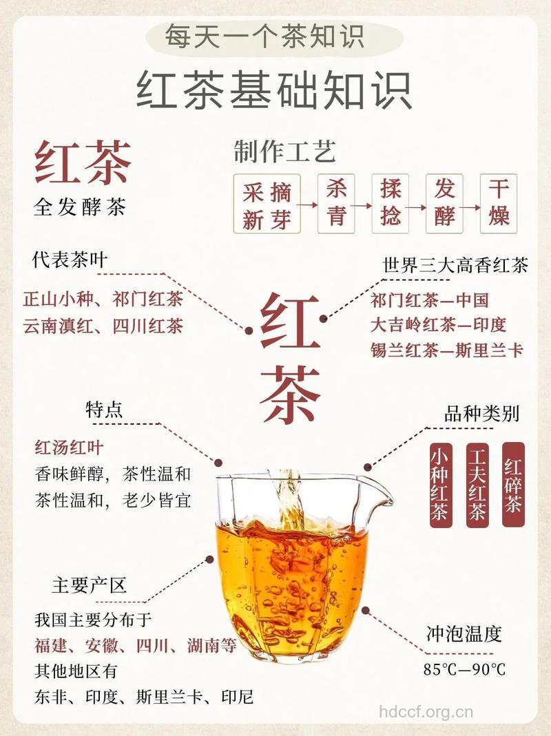 正确喝红茶 巧妙防感冒