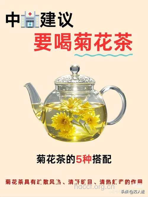 菊花姜茶的做法大全