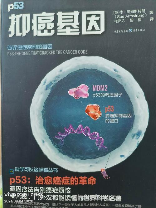 什么是抑癌物质