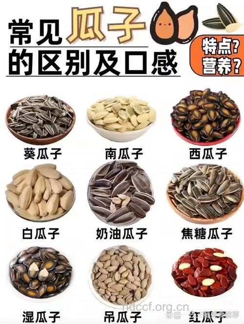 不同瓜子营养不同 4种人不宜多吃瓜子