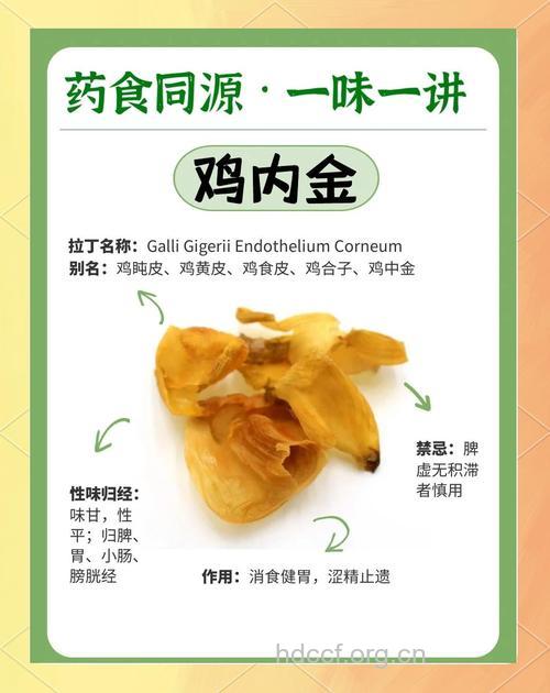 鸡内金怎么吃 鸡内金的吃法介绍