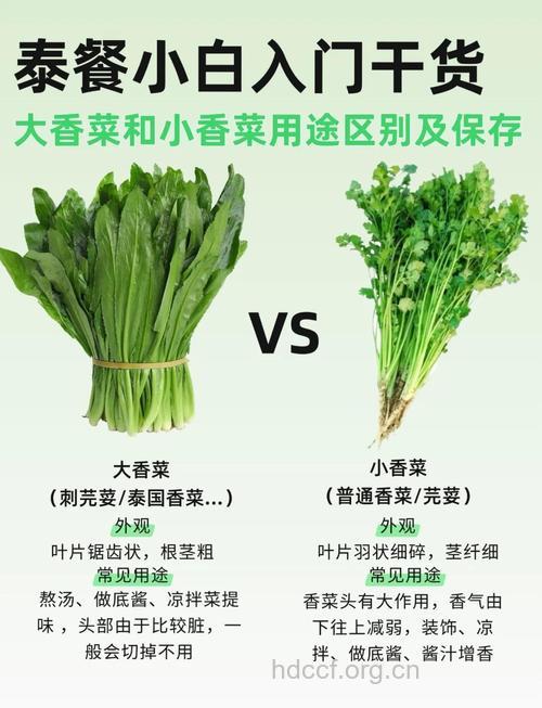 香菜不能和什么一起吃