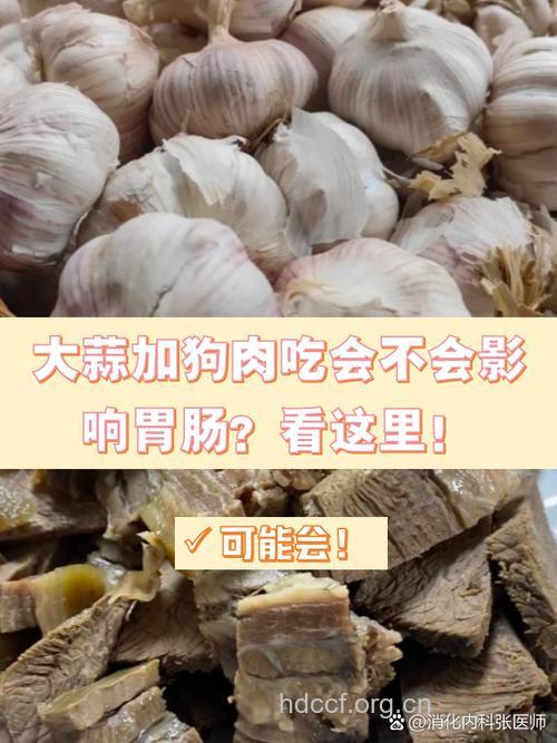 狗肉和大蒜能一起吃吗