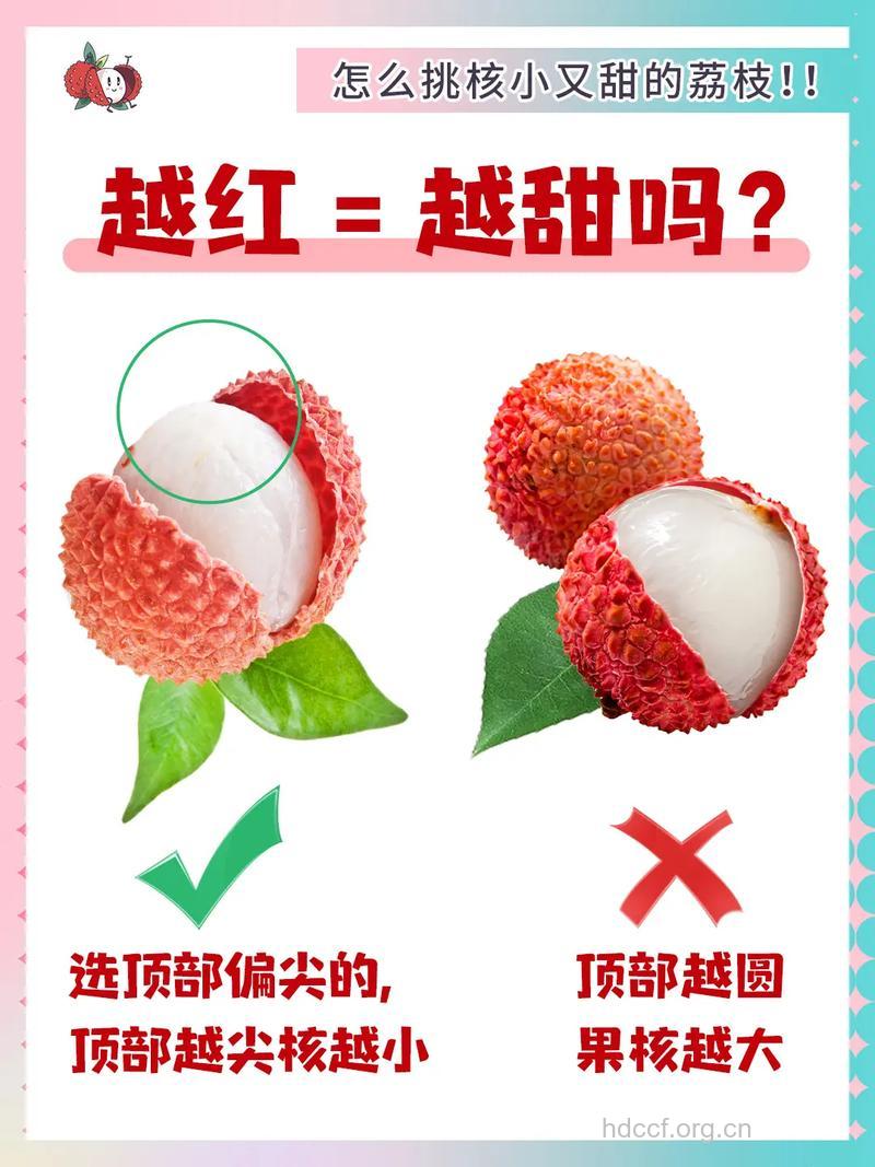 怎么挑选新鲜荔枝 荔枝选购6大技巧