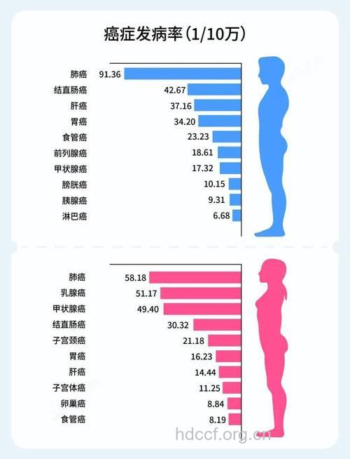 肺癌发病率为何逐年增加?