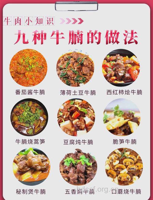 红烧牛腩的做法大全