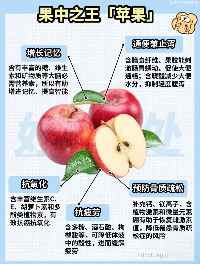 常吃苹果可以预防肺癌