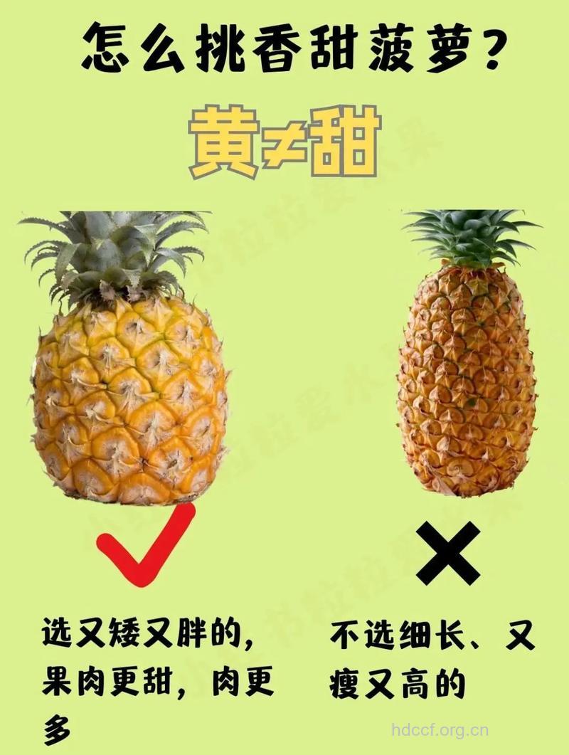 吃水果也得挑时间 早上宜吃苹果饭后选菠萝