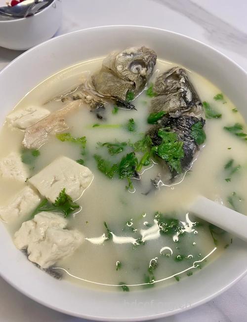 豆芽鲫鱼汤的做法大全