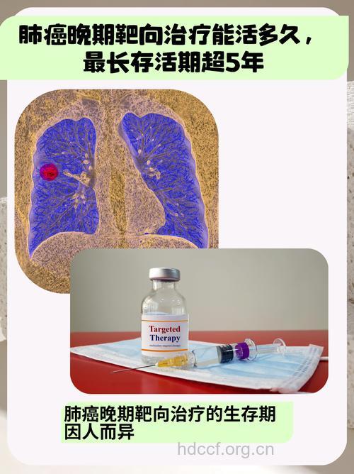 肺癌晚期采用啥治疗最有效