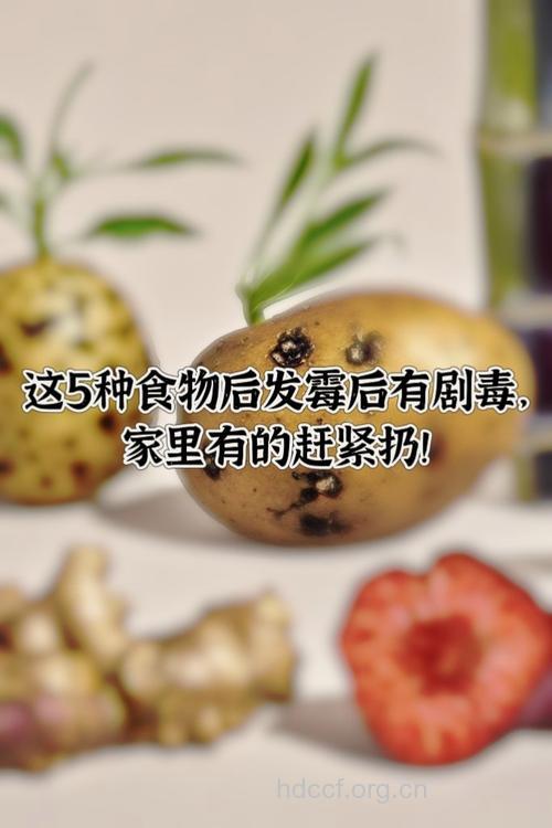 有点发霉的食物最好不要吃