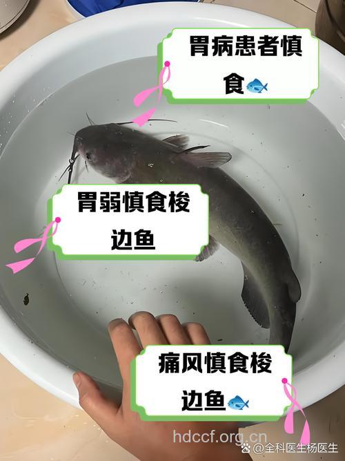 患这6种病的人忌吃鱼
