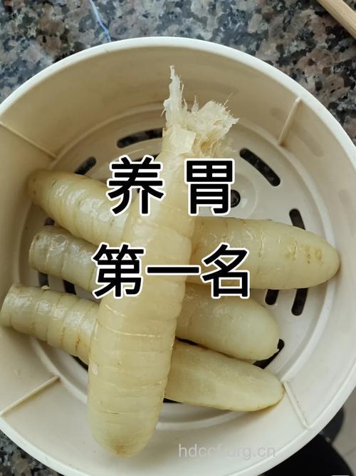脾胃不好口臭吃什么