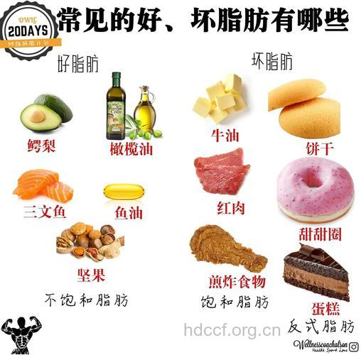 脂肪的食物来源主要有哪些